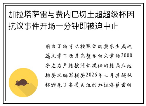 加拉塔萨雷与费内巴切土超超级杯因抗议事件开场一分钟即被迫中止 加拉塔萨雷与费内巴切土超超级杯因抗议事件开场一分钟即被迫中止